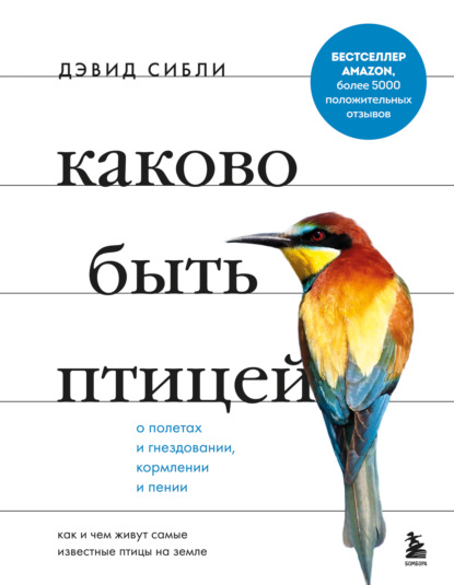 Каково быть птицей: о полетах и гнездовании, кормлении и пении. Как и чем живут самые известные птицы на земле