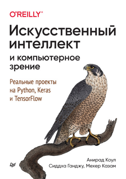 Искусственный интеллект и компьютерное зрение. Реальные проекты на Python, Keras и TensorFlow (+ epub)