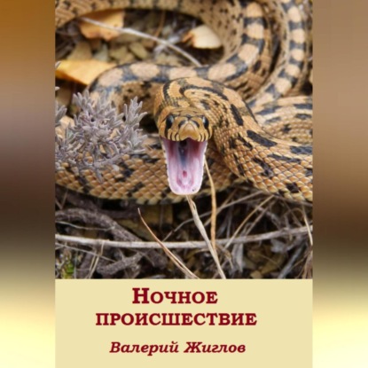 Ночное происшествие