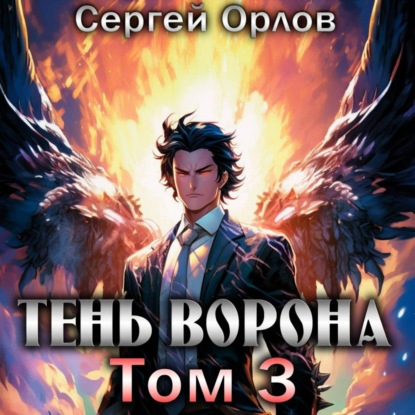 Тень Ворона – 3