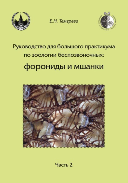 Руководство для большого практикума по зоологии беспозвоночных: форониды и мшанки. Часть 2