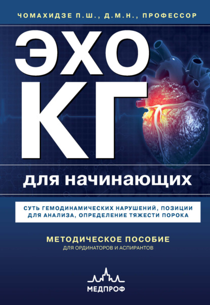 Эхокардиография для начинающих. Суть гемодинамических нарушений, позиции для анализа, определение тяжести порока