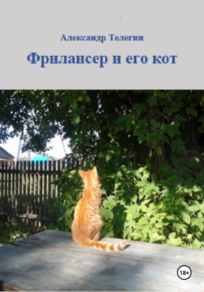 Фрилансер и его кот