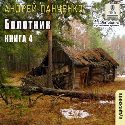 Болотник. Книга 4