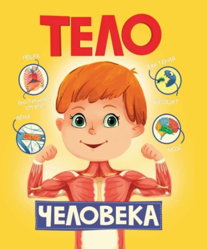 Тело человека