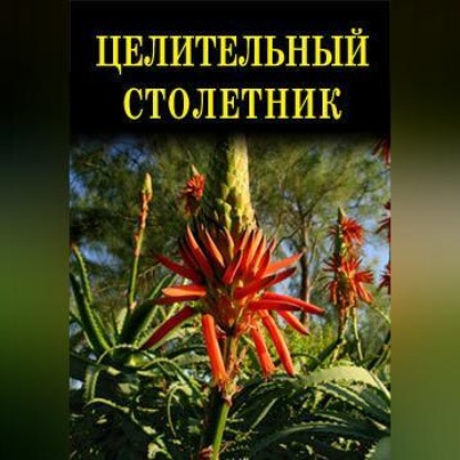 Целительный столетник