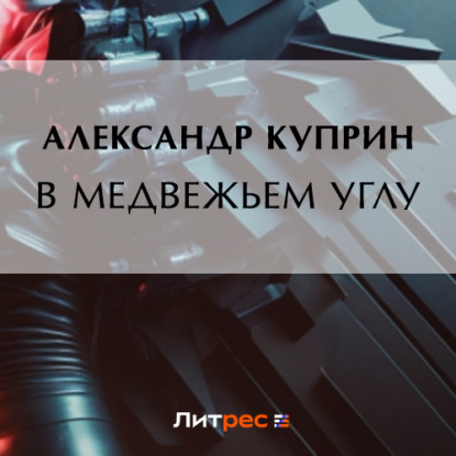 В медвежьем углу