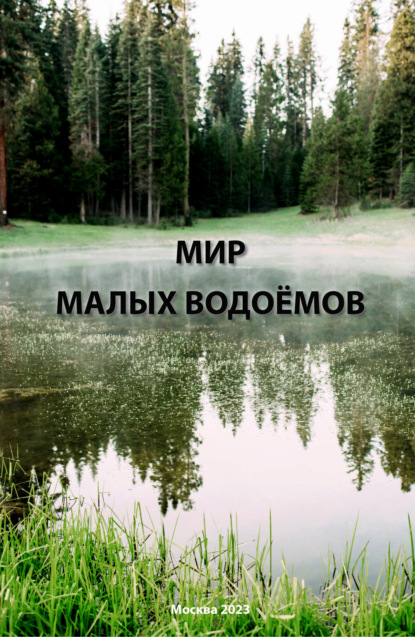 Мир малых водоёмов