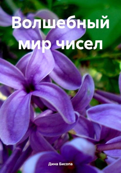 Волшебный мир чисел