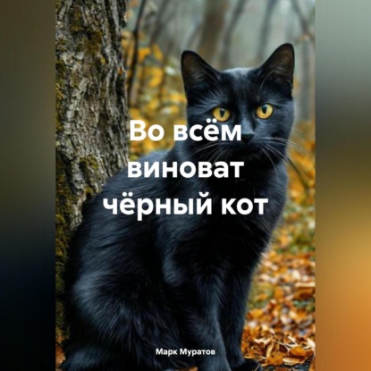 во всём виноват чёрный кот