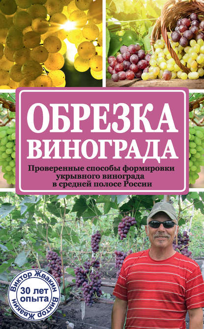 Обрезка винограда. Проверенные способы формировки укрывного винограда в средней полосе России