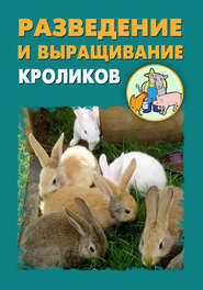 Разведение и выращивание кроликов