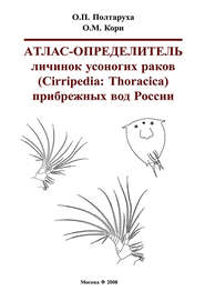Атлас-определитель личинок усоногих раков (Cirripedia: Thoracica) прибрежных вод России