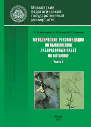 Методические рекомендации по выполнению лабораторных работ по ботанике. Часть 1