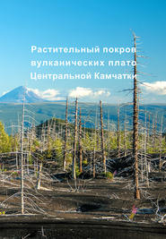 Растительный покров вулканических плато Центральной Камчатки (Ключевская группа вулканов)