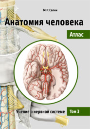 Анатомия человека. Атлас. Том 3. Учение о нервной системе