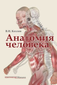 Анатомия человека. Учебник для медицинских вузов