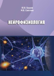 Нейрофизиология