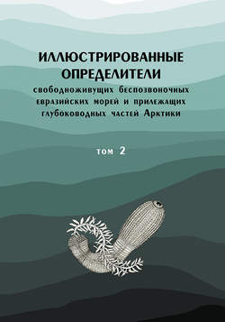 Иллюстрированные определители свободноживущих беспозвоночных евразийских морей и прилежащих глубоководных частей Арктики. Том 2