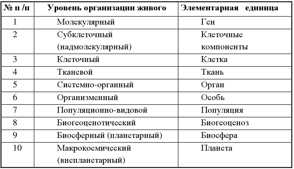 Пример организации живой материи