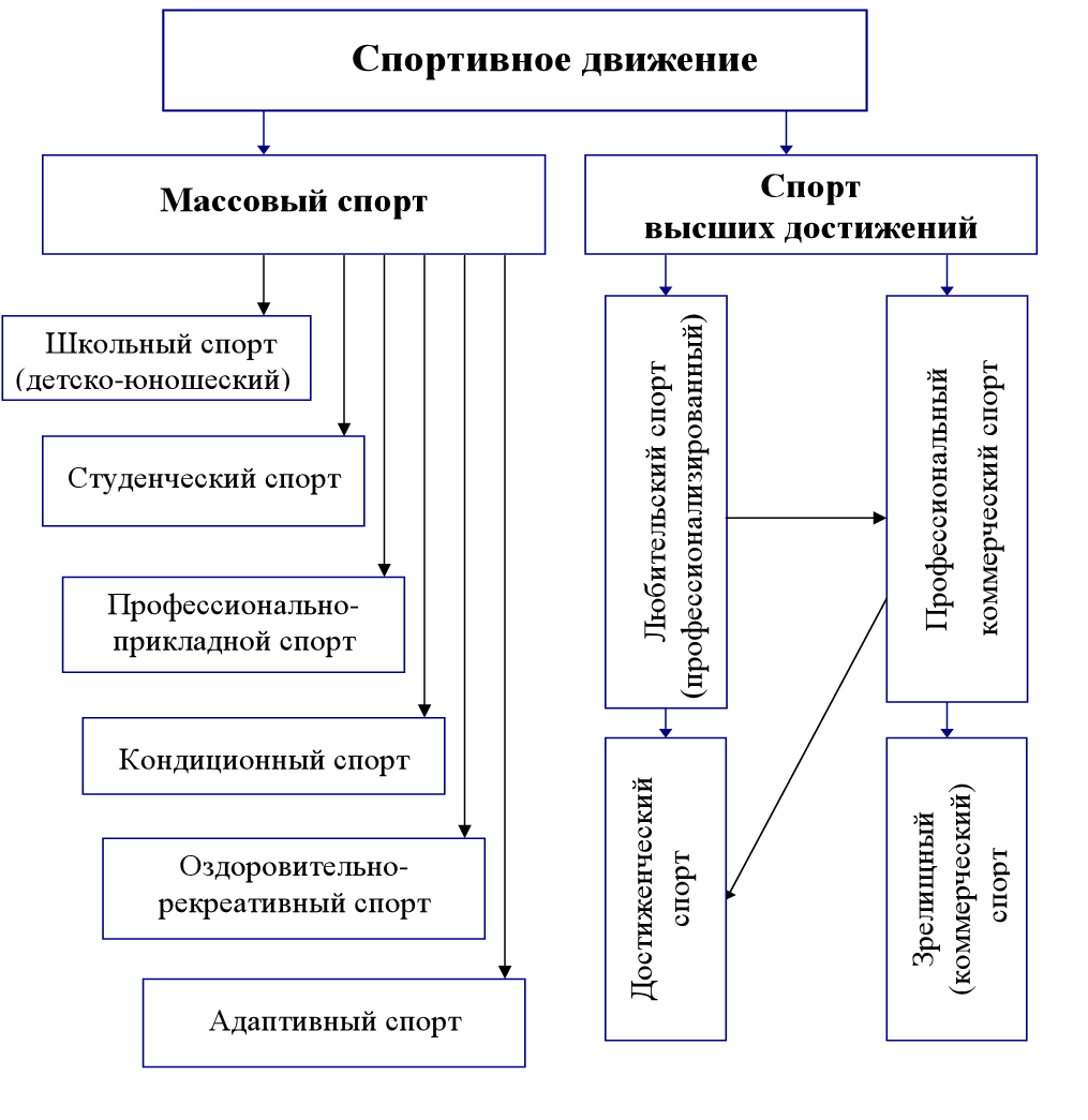 Направление спорта. Основные направления спортивного движения в современном мире. Структура спортивных достижений. Структура международного спортивного движения. Направления современного спорта схема.