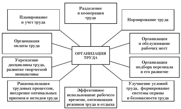 Организация труда работников зала