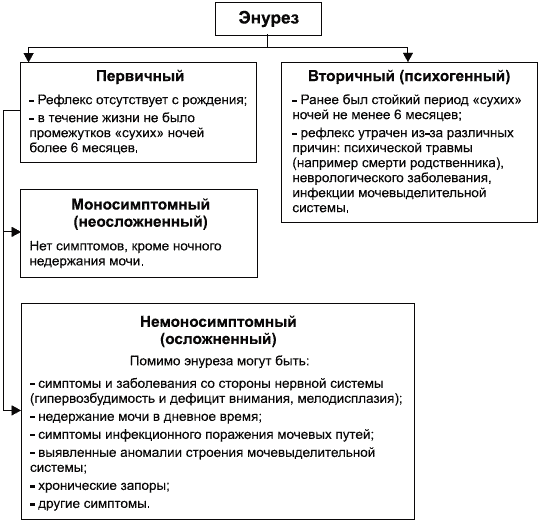 Классификация ночного энуреза. Ночной энурез классификация. Патогенез энуреза у детей. Энурез классификация у детей.