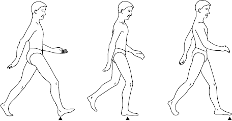 Широко шагал ноги. Человек в движении ходьба. Движения человека при ходьбе. Рисование ходьбы. Люди в движении ходибы.