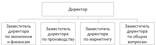 Заместитель директора по экономике и финансам