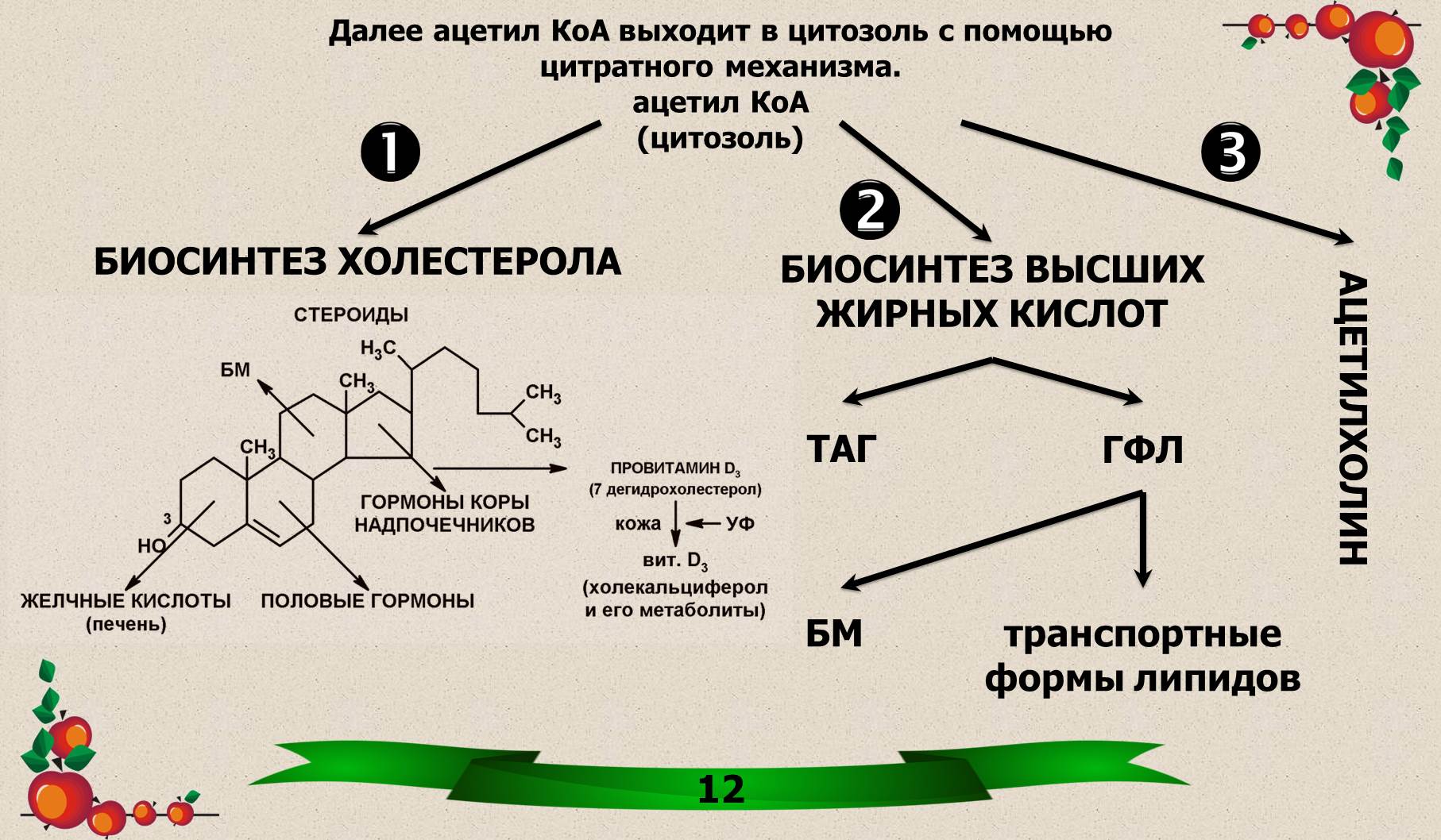 Глюкоза жирные кислоты. Схема водорастворимые и жирорастворимые витамины. Гексозобисфосфатный путь распада углеводов. Глюкоза инсулин деполяризация мембраны.