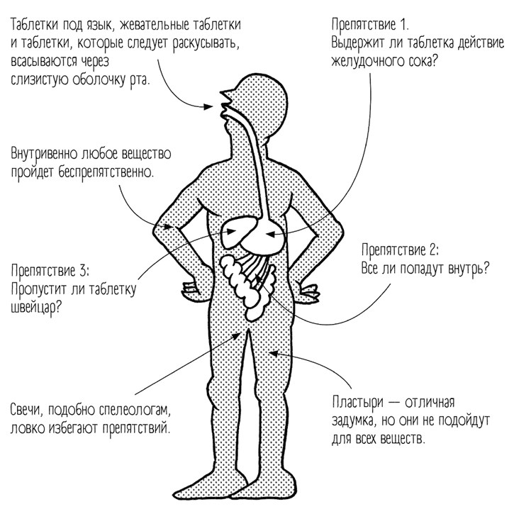 Как таблетка понимает. Таблетка путь попадания в желудок схема. Откуда обезболивающее знает где болит. Откуда обезболивающая таблетка знает где болит. Откуда таблетка знает что болит.
