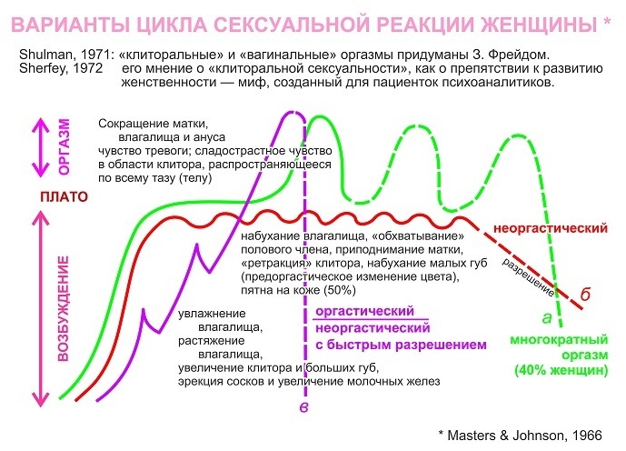 Шикарная партнерша испытывает многочисленные оргазмы в своем спаривании