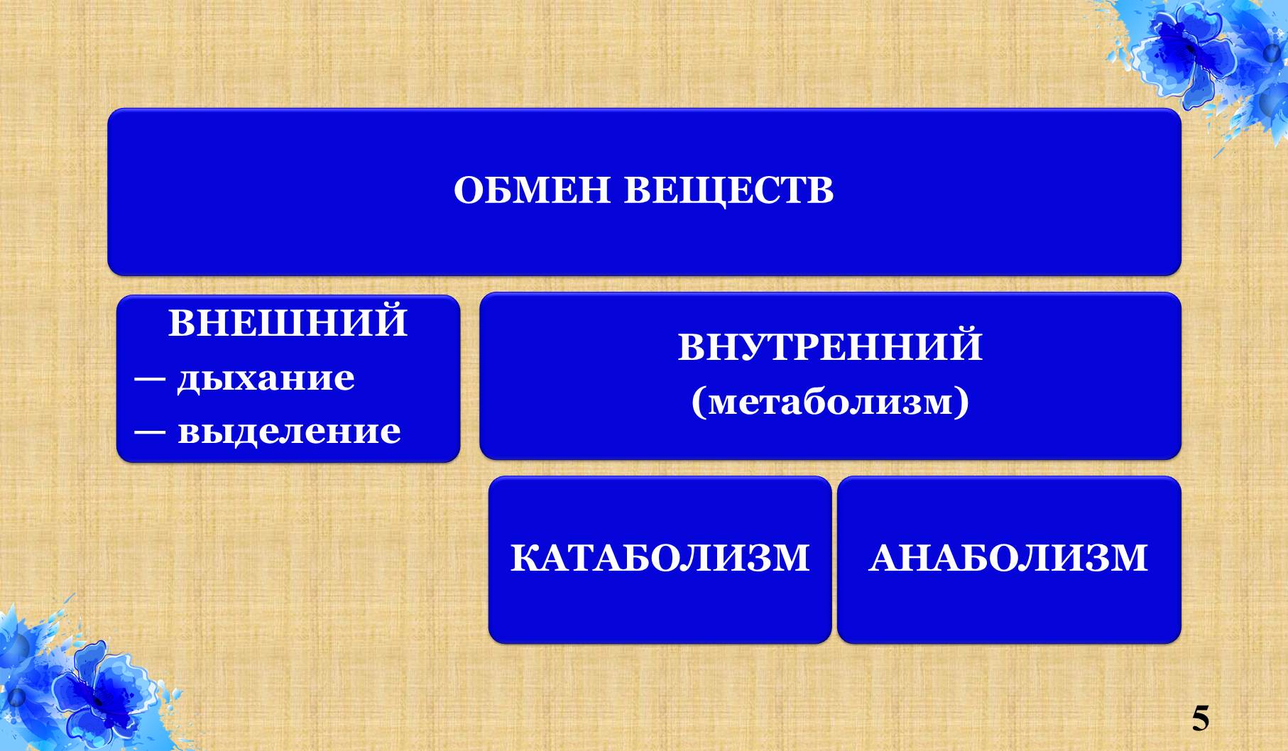 Обмен читать полностью. Амфиболизм. Анаболизм и катаболизм. Амфиболизм микробиология. Обмен в химии.