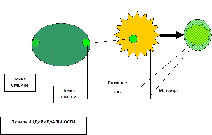 Читать оболочка