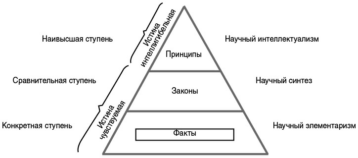 Сколько высших арканов. Касты и арканы Таро.