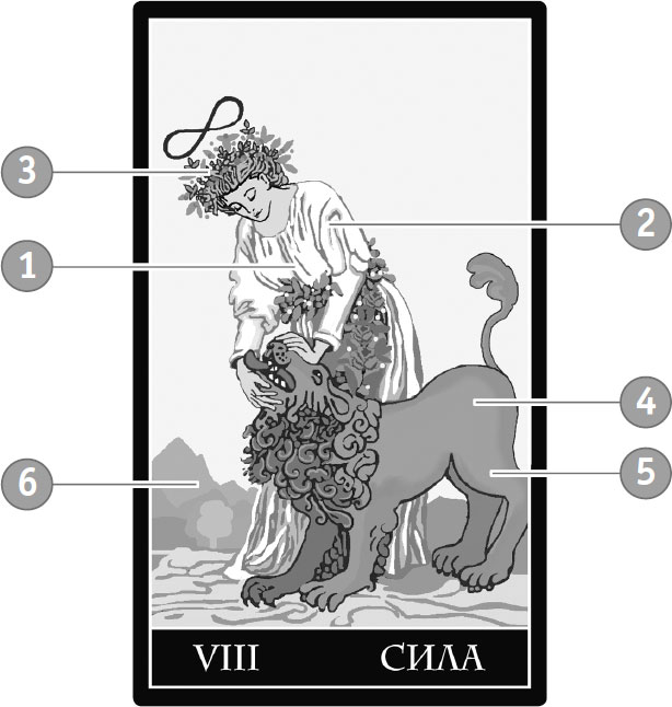 Сила восьми. Карта сила Уэйт. Символы на карте сил.. Аркан сила на заставку. Мартин Вэлс Таро Уэйта глубинная символика.